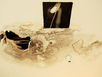 Professional water damage restoration services in Highland - AquaNest Team