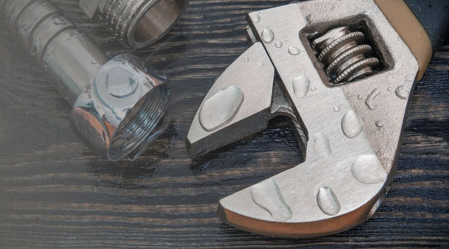 Why choose AquaNest Team for water damage restoration in Highland